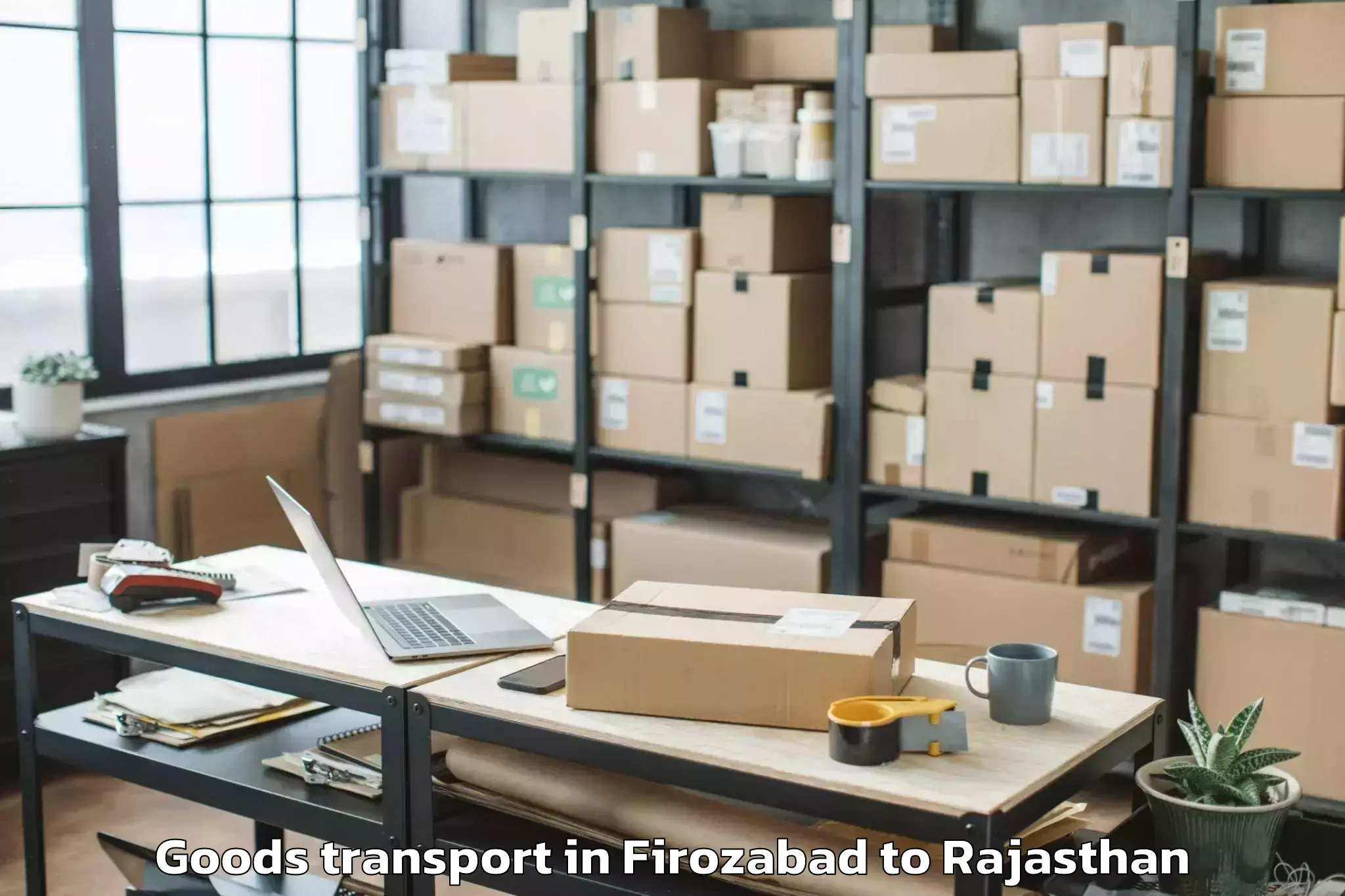 Top Firozabad to Pokhran Goods Transport Available